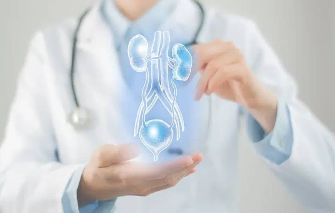 What Is the Normal Range of Pus Cells in Urine?